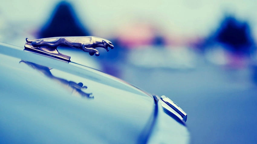 يوم المتخلفين